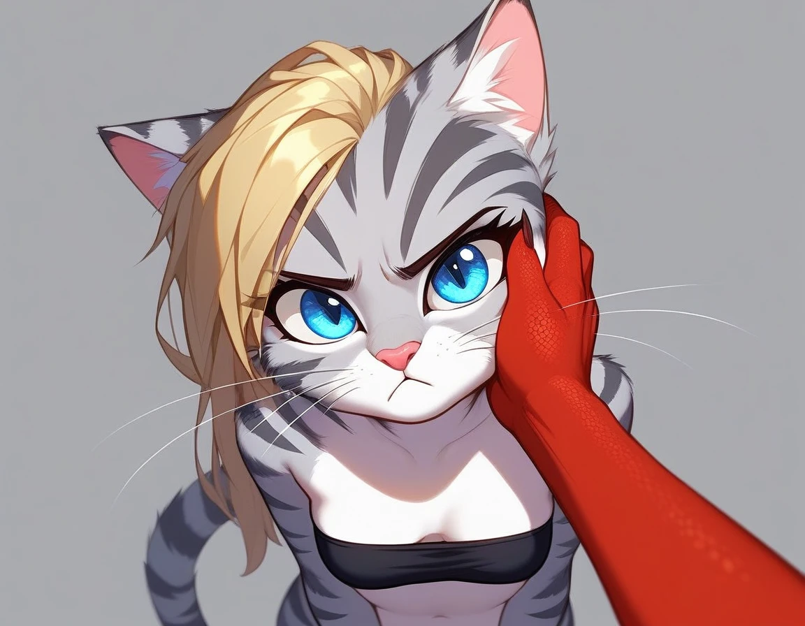 , score_9,score_8_up,score_7_up, source_furry, kat, Anthro furry feline, cute female, tall slender body, long blonde hair, long undercut hair, pink nose, :3, blue eyes, white whiskers, silver fur, grey stripes, furry body, pouting, grumpy, wearing black bandeau, BREAK, pov, pov viewer is holding her cheeks, viewer is a female red reptile, red reptile hands, simple grey background