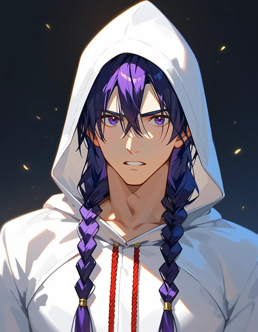 Solo, score_9,score_8_up,score_7_up, an executioner, male wearing executioners hood covering head