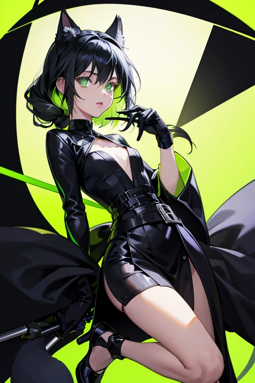 The costume of Lady Noire was very similar to Cat Noir; she wore a dark gray catsuit with fluorescent green accents on her knees, forearms, waist, and neck. She had black gloves on her forearms with claws and a fluorescent green band that went down a bit and a black ball, and her black collar was a little open at the neck and had a fluorescent green band that went down to the poitrine and a black ball in the lower part of the neck. Around the waist, there was a black belt with a fluorescent green band in the middle at the right leg, a black button with a fluo-green cat, and a fluorescent green son with a black ball hanging. Her black fluo-green boots went all the way up to the knee, with a small flowing green band in the heel, and ended with small black triangular platform shoes. She had floor-length black hair that was styled in a single braid, which made it look like a tail (similar to Cat Noir's belt). She also had cat ears on her head with fluorescent green accents and a black mask. Lady Noire had the same green eyes as Cat Noir, with the green sclera and slitted pupils. Like her yo-yo, Lady Noire kept her staff attached to her hip when not in use. SPARKLE; GLITTER