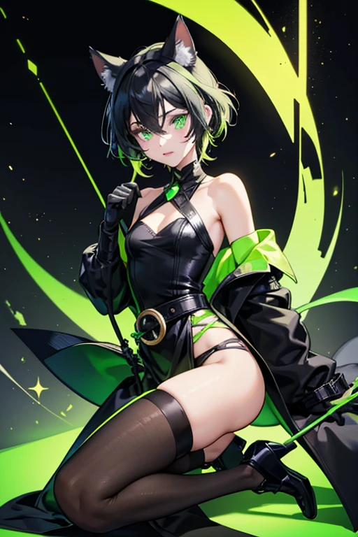 The costume of Lady Noire was very similar to Cat Noir; she wore a dark gray catsuit with fluorescent green accents on her knees, forearms, waist, and neck. She had black gloves on her forearms with claws and a fluorescent green band that went down a bit and a black ball, and her black collar was a little open at the neck and had a fluorescent green band that went down to the poitrine and a black ball in the lower part of the neck. Around the waist, there was a black belt with a fluorescent green band in the middle at the right leg, a black button with a fluo-green cat, and a fluorescent green son with a black ball hanging. Her black fluo-green boots went all the way up to the knee, with a small flowing green band in the heel, and ended with small black triangular platform shoes. She had floor-length black hair that was styled in a single braid, which made it look like a tail (similar to Cat Noir's belt). She also had cat ears on her head with fluorescent green accents and a black mask. Lady Noire had the same green eyes as Cat Noir, with the green sclera and slitted pupils. Like her yo-yo, Lady Noire kept her staff attached to her hip when not in use. SPARKLE; GLITTER