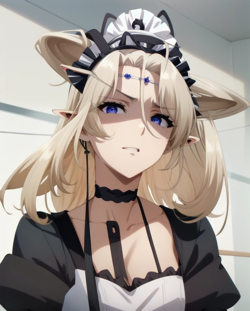 best quality, from below, log angle, intenseglare, disgust, shaded_face, shadow_over_eyes, glaring, looking down at the viewer, long platinum hair,blue eyes,pointy ears,elf,,masterpiece, highres, solo, (maid:1.40), (long maid dress:1.15), anime_style, 14
