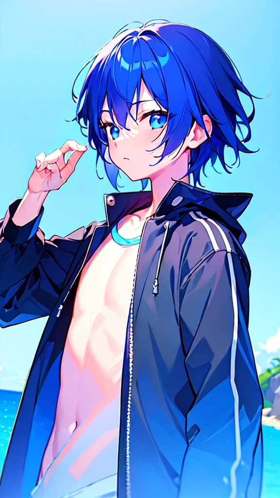 [(SKYBLUE BACKGROUND:1.5),::5], ((((masterpiece)))), high quality, ultra very high resolution, full color, (((solo))), ((little boy)), oriental deepBlue hair, (oriental deepblue eyes), anime, ((upper body)), Summer clothes, neon light, black parka, 