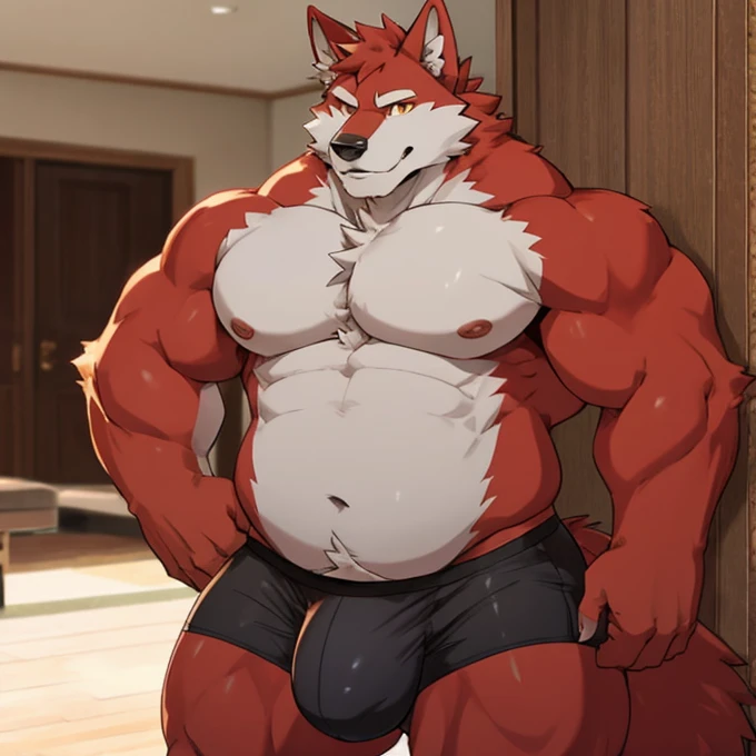 Wolf a little chubby and stocky, with a giant bulge in underwear, red fur, White skin