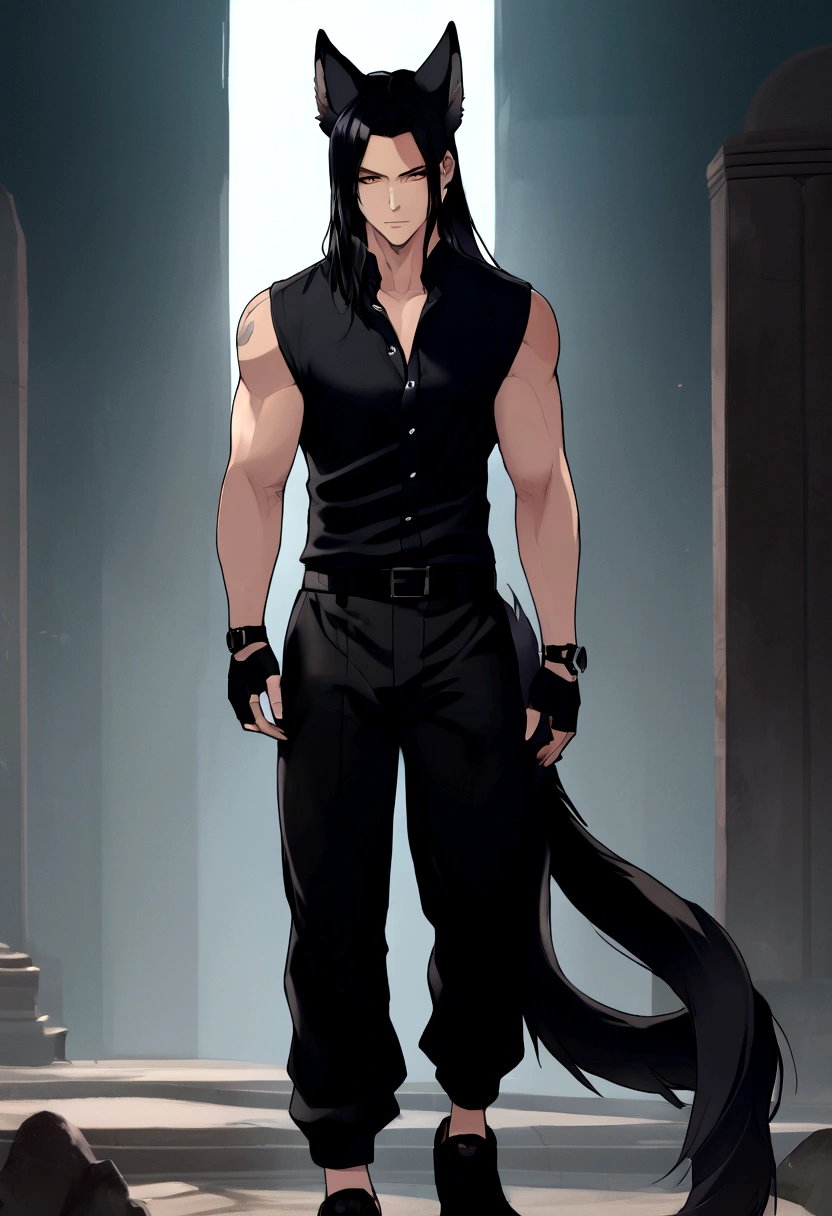 Genre:masculine, Hair:long and straight black, Eyes:de color black, body:marked, Clothes:Black fitted shirt with plain sleeveless high collar, plain black pants, black sports shoes, with wolf ears and tail.