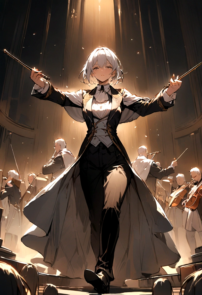 masterpiece、Finely drawn、Orchestra performance、The conductor is in the center