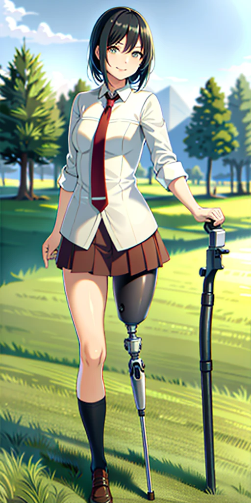 best quality, 1girl, solo, Mikasa, Mikasa Ackerman, standing, outdoors, medium hair, black hair, straight hair, looking at viewer, medium breasts,  (prosthetic leg:1.2), full body, smiling. 