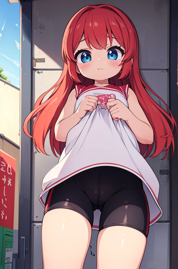 (best quality,8k wallpaper,ultra-detailed,masterpiece:1.2),illustration,preschool girl, bike short, nsfw