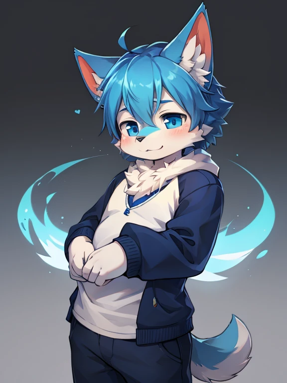 Blue cute male blue ear wolf cub slightly round ears normal