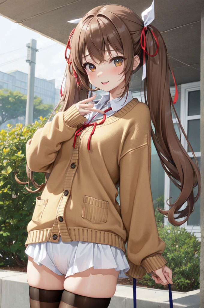 (masterpiece, best quality, extremely detailed, ultra-detailed),
BREAK
(1girl, solo, cute face, kawaii,  face, a cute  , happy, standing, -yeld),
AK
(long twintails, light brown hair, straight hair, brown eyes, medium breasts),
BREAK
(black thighhighs:1.3),
BREAK
(ribbon:1.5),
BREAK
(winter , Cardigan),
BREAK
(bow panties, white panties:1.3)