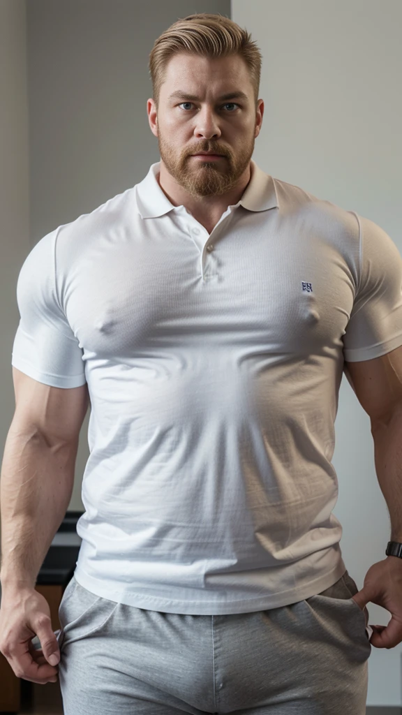 Giant muscular man, 30 years old, mature, glaring at the camera, blue eyes, short blond hair, a full grown blond beard, bulky body, thick arms, thick legs, thick thighs, wearing white polo shirt, grey formal pants, stocky, wide build, Massive bara man, masculine face,