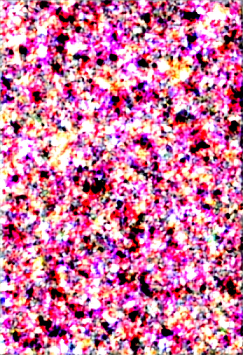 (Two Shotas:1.5), (baggy:1.4), (Black tank top:1.3), (White panties:1.3), (bulge&erection:1.2), (Looking up:1.4), The wind is blowing, (((Highest quality))), (((masterpiece))), (((Super detailed))), (ejaculation:1.3), ((Spiked Hair)), (The wind is blowing), ((Pink Hair)), Wine red eyes, Raise your arms, ((smile)), (Open your mouth), ((Earrings)), blue sky, Grass, (Choker on neck), Underarm, Sweaty skin, ((Wet clothes)), Nipples, center, (Shooting from below),
