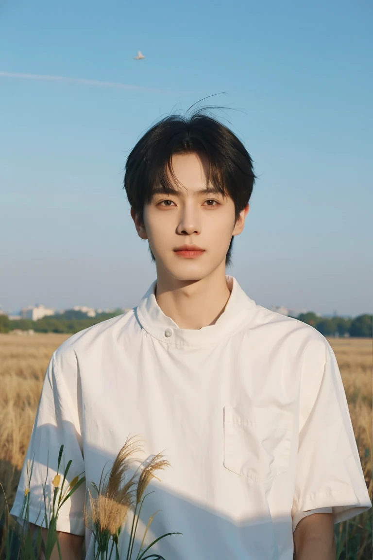 nansheng,1 man,Solitary,Male focus,sky空,outdoor,sky,Practical,shirt,Grass,Upper Body,Positive face,white shirt,Shut up,(The best shadow),complex, bright, Lens distortion correction,(The best shadow),complex, bright, Lens distortion correction
