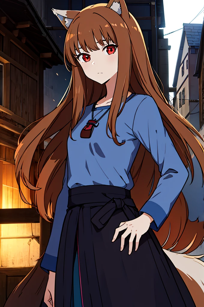 (masterpiece:1.3), (best quality:1.1), (8k, ultra detailed, ultra high res:1.2), (pastel), (perfect 5 fingers:1.1), perfect anatomy, 
1girl, wolf girl, 
holo, 
BREAK long hair, wolf ears, fuffy hair in the ears, 
brown hair, 
red eyes, BREAK blue shirt, brown skirt, long skirt, 
small breasts,   
BREAK looking at viewer, 
cowboy shot, 
standing, 
perfect light, 
outdoor, outside, city, cityscape, (village:1.3), 