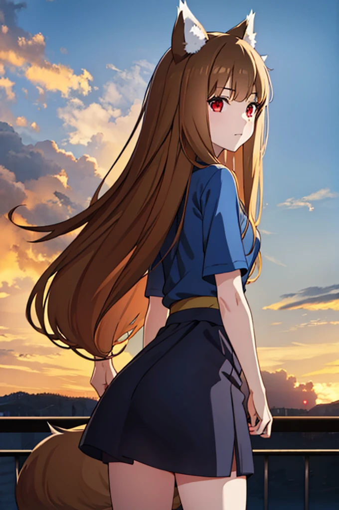 (masterpiece:1.3), (best quality:1.1), (8k, ultra detailed, ultra high res:1.2), ((anime style:)), (perfect 5 fingers:1.1), perfect anatomy, 
1girl, wolf girl, 
holo, 
BREAK long hair, wolf ears, fuffy hair in the ears, 
brown hair, 
red eyes, BREAK blue T-shirt, brown skirt, long skirt, 
small breasts,   
BREAK looking at viewer, 
cowboy shot, 
standing, 
perfect light, 
outdoor, outside, city, cityscape, 