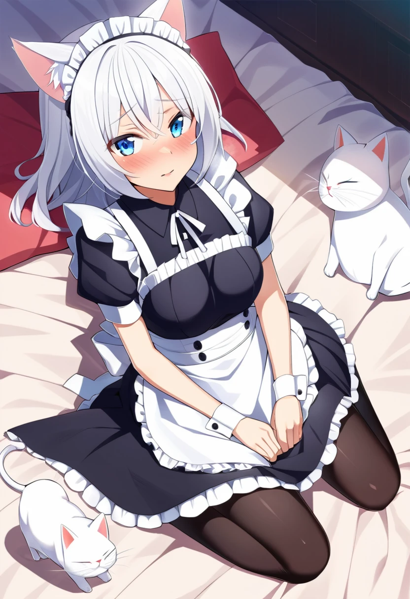 one girl, white cat ears, white hair, naive, aphrodisiac, maid, from above, wariza, light blue eyes, blush, on bed