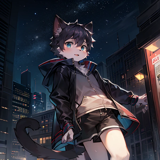 cute boy,4K,high quality,Starry Sky,night,Real skies,Modern urban landscape,High-rise,roof,Sunlight,Cat with very soft fur,Black-gray hair,Black square,Wearing a see-through baggy jacket and shorts,character focus,Intricate details,(Japanese anime style)