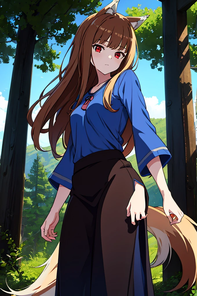 (masterpiece:1.3), (best quality:1.1), (8k, ultra detailed, ultra high res:1.2), ((anime style:)), (perfect 5 fingers:1.1), perfect anatomy, 
1girl, wolf girl, 
pastel color, colorful,
BREAK long hair, wolf ears, fuffy hair in the ears, 
brown hair, 
red eyes, BREAK blue T-shirt, brown skirt, long skirt, 
small breasts,   
BREAK looking at viewer, 
cowboy shot, 
standing, 
perfect light, 
outdoor, outside, forest, sky, 