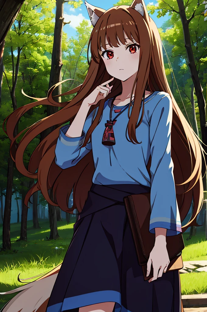 (masterpiece:1.3), (best quality:1.1), (8k, ultra detailed, ultra high res:1.2), ((anime style:)), (perfect 5 fingers:1.1), perfect anatomy, 
1girl, wolf girl, 
pastel color, colorful,
BREAK long hair, wolf ears, fuffy hair in the ears, 
brown hair, 
red eyes, BREAK blue T-shirt, brown skirt, long skirt, 
small breasts,   
BREAK looking at viewer, 
cowboy shot, 
standing, 
perfect light, 
outdoor, outside, forest, sky, 