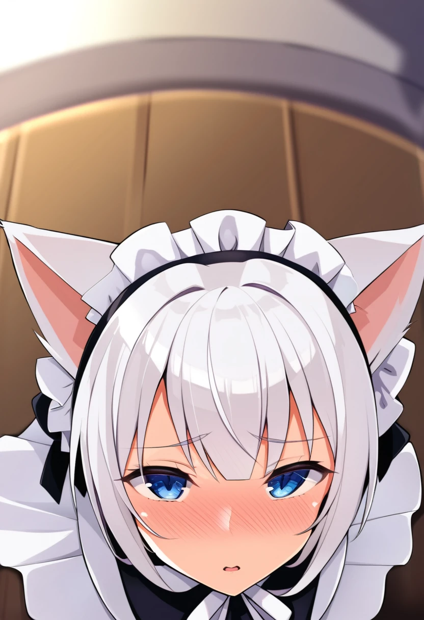 one girl, cat ears, white hair, naive, aphrodisiac, maid, from above, light blue eyes, blush, erotic hypnosis, standing, face focus