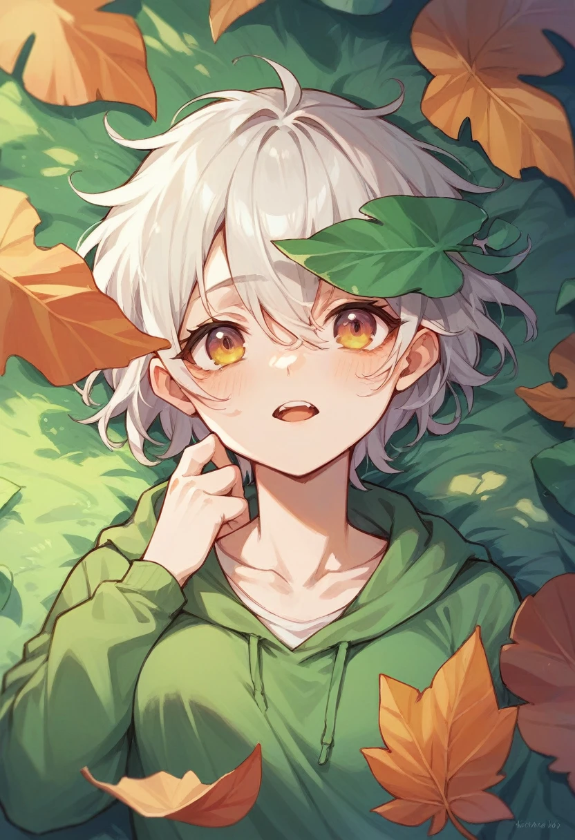 Drop onto a leaf in monsoon 