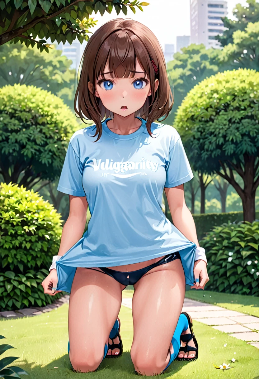 BREAK Perfect Anatomy、(High resolution:1.2)、Incredible illustrations、(Cute illustrations:1.2)、 (nsfw)(hip focus,) （Beautiful background（bushes in the park)) 1girl((brown hair,asymmetric bangs, tanned skin: 1.4,blue eyes,fang)1girl((a girl,slender 1.3meters, 25kg, (( t-shirt, hot pants,thigh-high socks, sandals),clothes lift t-shirt,()))(heavy breathing:1.3 ,vulgarity ,pussy juice:1.2),Kneeling