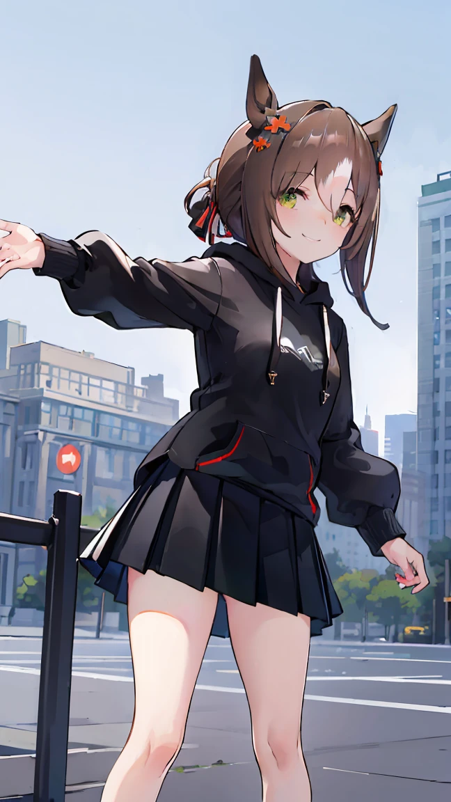 masterpiece, Highest quality, High resolution, Very detailed,(((Finemotion wearing a black hoodie))), (((Pulling up her skirt。))), (((smile))), Black Skirt, Outdoor, Black underwear, Low - Angle