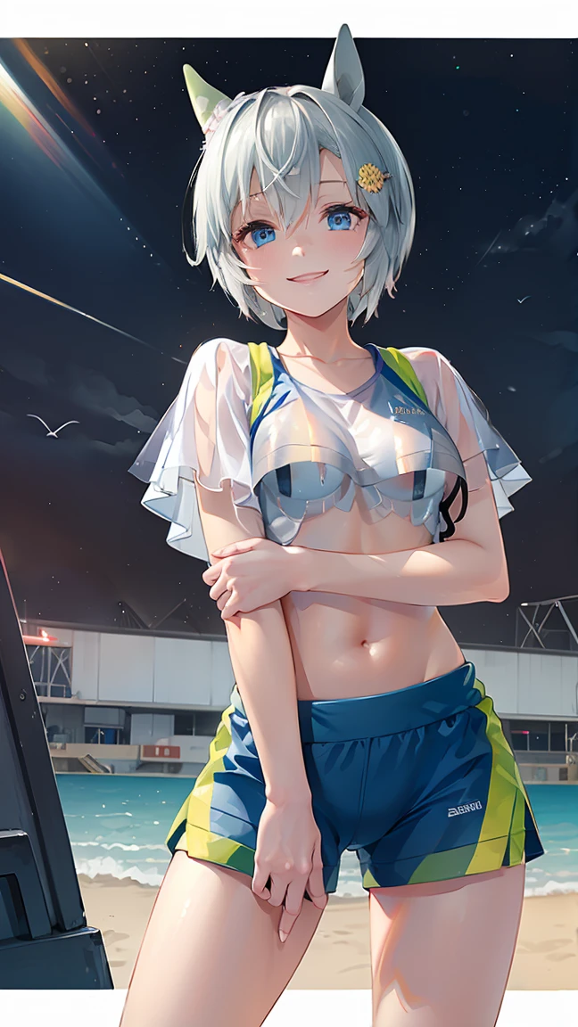 masterpiece, Highest quality, High resolution, Very detailed,(((Seiun Sky))), (((See-through sportswear))), (((smile))), Beach at night, Pink Bra