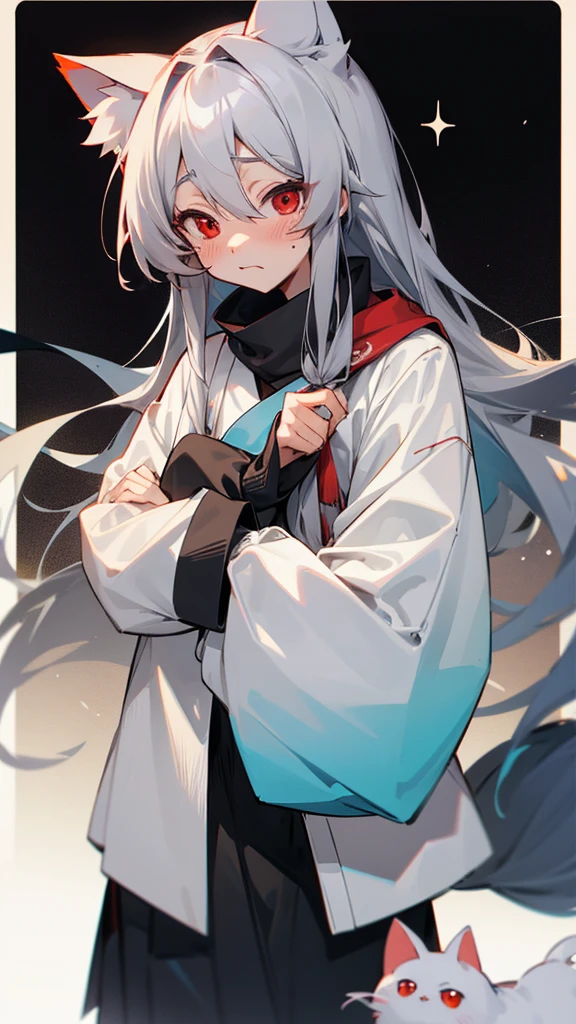 Highest quality I have long hair Gray Hair Hina Sorazaki Red eyes I don't have anything Odd Eye kind Cat ear Embarrassed One person