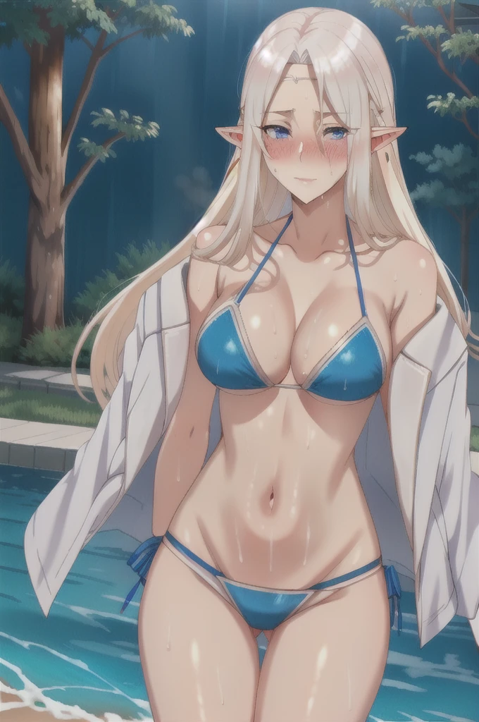 platinum hair,,long hair,blue eyes,pointy ears,elf,tall,((bikini)),(((blush,sensual,tempting))),blush,wet,sweat,on the be