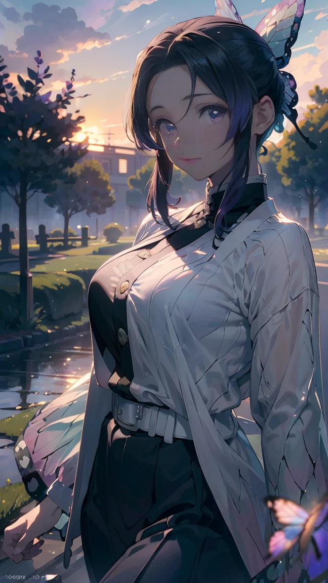 Ultra-realistic 8k CG,masterpiece,((ultra-detailed background, delicate pattern, intricate details)),best quality,very detailed face,extremely detailed eyes and face,extremely detailed eyes,kochou shinobu,multicolored hair,no bangs,hair intakes,purple eyes,forehead,black shirt,black pants,haori,butterfly,buttons,belt,(Garden:1.2),purple flower,chibi,cloudy sky,sunlight,Tindal effect,gradient_sky,face,Gorgeous sky,Waist Sabre,Charming posture,(((nude)))