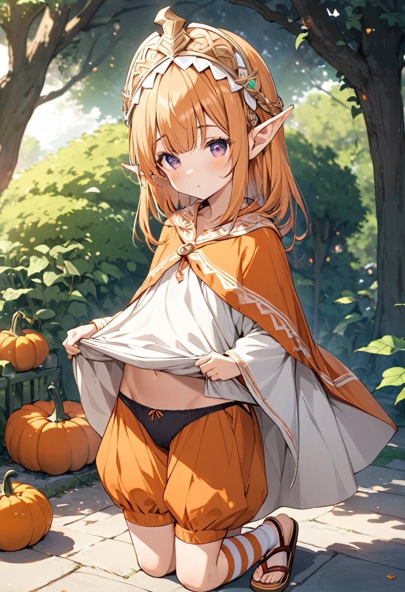 BREAK Perfect Anatomy、(High resolution:1.2)、Incredible illustrations、(Cute illustrations:1.2)、(Beautiful background(bushes in the park)) 1little girl((multicolored hair,((bangs over eyes)), ,)1girl((a girl,elf 1.5meters, 25kg,18 years old female, ((tunic,poncho,pumpkin pants,asymmetric thigh-high socks, sandals),tilting head(dress lift,panties)