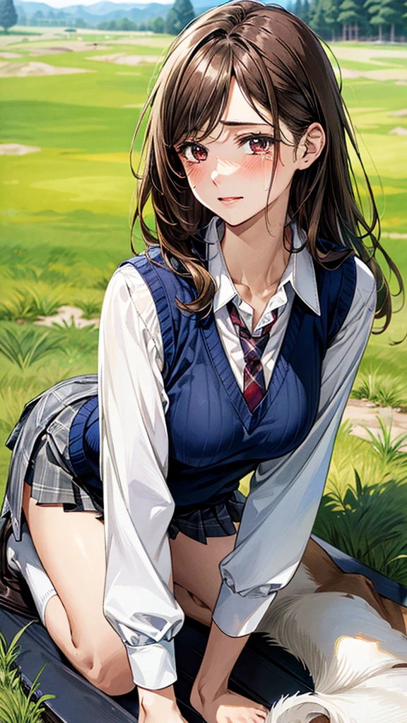 (masterpiece:1.3, top-quality), ultra high res, ultra detailed, (realistic, photorealistic:1.4), beautiful illustration, perfect lighting, colorful, depth of fields, 
looking at viewer, (face focus, upper body), 1 girl, solo, hight school girl, gravure model, (large breasts:0.8, large ass, seductive thighs, skindentation),
(long hair:1.2, straight hair:1.2, (saddle-brown colored) hair), swept bangs, (brown) eyes, drooping eyes, big eyes, shiny skin, slender, 
beautiful hair, beautiful face, extremely detailed face, beautiful detailed eyes, beautiful clavicle, beautiful body, beautiful chest, beautiful thigh, beautiful legs, beautiful fingers, 
(detailed cloth texture, (navy knit vest), grey plaid tie, collared long sleeve white shirt, grey plaid pleated skirt), black socks, white panties, 
(beautiful scenery), In the grass of a meadow, a girl is on all fours and a large dog is holding her from behind on her back.
Her face is bright red, her eyes are closed, her mouth is open, and she is crying.
She is wearing a very short skirt.