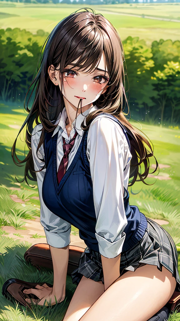 (masterpiece:1.3, top-quality), ultra high res, ultra detailed, (realistic, photorealistic:1.4), beautiful illustration, perfect lighting, colorful, depth of fields,
looking at viewer, (face focus, upper body), 1 girl, solo, hight school girl, gravure model, (large breasts:0.8, large ass, seductive thighs, skindentation),
(long hair:1.2, straight hair:1.2, (saddle-brown colored) hair), swept bangs, (brown) eyes, drooping eyes, big eyes, shiny skin, slender,
beautiful hair, beautiful face, extremely detailed face, beautiful detailed eyes, beautiful clavicle, beautiful body, beautiful chest, beautiful thigh, beautiful legs, beautiful fingers,
(detailed cloth texture, (navy knit vest), grey plaid tie, collared long sleeve white shirt, grey plaid pleated skirt), black socks, white panties,
(beautiful scenery), In the grass of a meadow, a girl is on all fours and a large dog is holding her from behind on her back.
Her face is bright red, her eyes are closed, her mouth is open, and she is crying.
She is wearing a very short skirt.