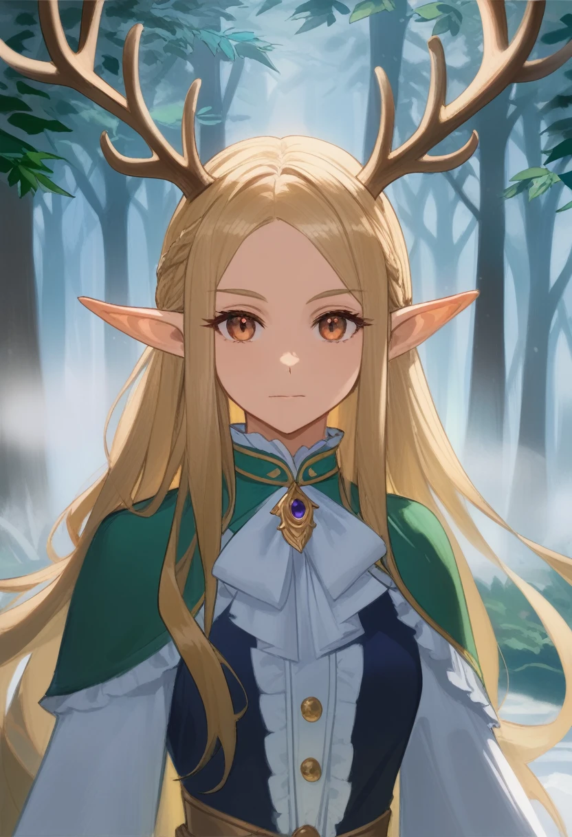 （tmasterpiece，best qualtiy）， 1girll， Complicated details， blond hairbl， leafs， wavey hair， looks into camera， the elf， The upper part of the body， ln the forest， frilld， thin fog， deer antlers，wonderland