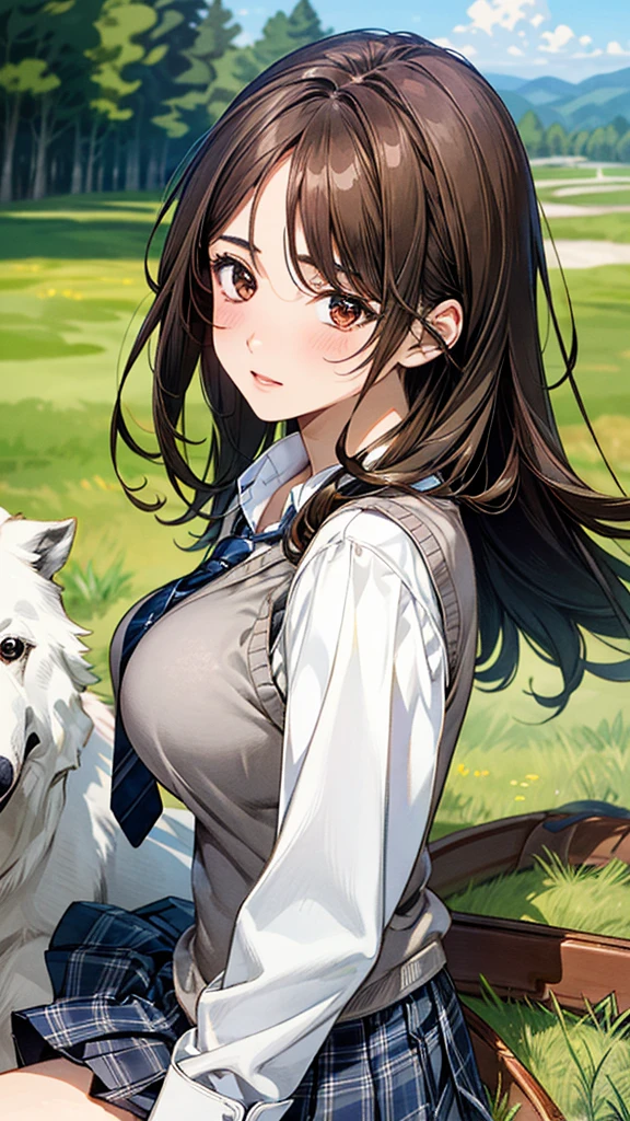 (masterpiece:1.3, top-quality), ultra high res, ultra detailed, (realistic, photorealistic:1.4), beautiful illustration, perfect lighting, colorful, depth of fields, 
looking at viewer, (face focus, upper body), 1 girl, solo, hight school girl, gravure model, (large breasts:0.8, large ass, seductive thighs, skindentation),
(long hair:1.2, straight hair:1.2, (saddle-brown colored) hair), swept bangs, (brown) eyes, drooping eyes, big eyes, shiny skin, slender, 
beautiful hair, beautiful face, extremely detailed face, beautiful detailed eyes, beautiful clavicle, beautiful body, beautiful chest, beautiful thigh, beautiful legs, beautiful fingers, 
(detailed cloth texture, (navy knit vest), grey plaid tie, collared long sleeve white shirt, grey plaid pleated skirt), black socks, white panties, 
(beautiful scenery), In a grassy field, a woman is lying on her back, hugging a large dog. The woman's face is flushed bright red and she looks embarrassed.