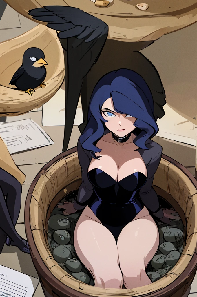 ((masterpiece,best quality)), absurdres,
Black_Canary_JLU,
Egg laying, Sitting in a bird's nest, pet collar, name tag "tweety" on the neck