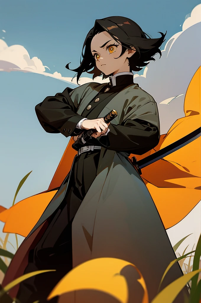 Young Adult, Male, Black Hair, poncho, One sword in Hand the other on back, sheathe, grassland background, Yellow eyes, Fighter Clothing, Masterpiece Quality, Perfect Generation. demon slayer outfit, lean build