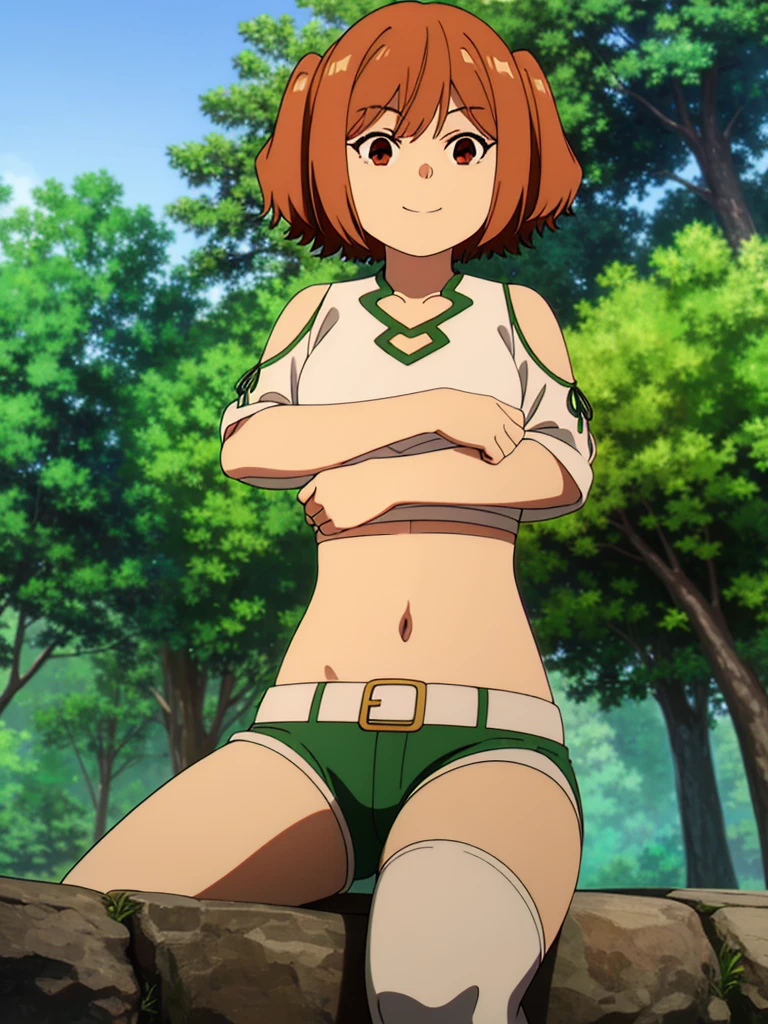 (8K, Highest quality, Highest quality, masterpiece), standing, 1girl, fullbody, solo, cowboy shot, (forest landscape), (summer sky), smile, Shorts, outdoors, leafs in the air
kanne, short hair, brown hair, twintails, (brown eyes:1.3), shirt, thighhighs, navel, bare shoulders, white shirt, short sleeves, midriff, belt, white thighhighs, crop top, clothing cutout, shoulder cutout, (green shorts)