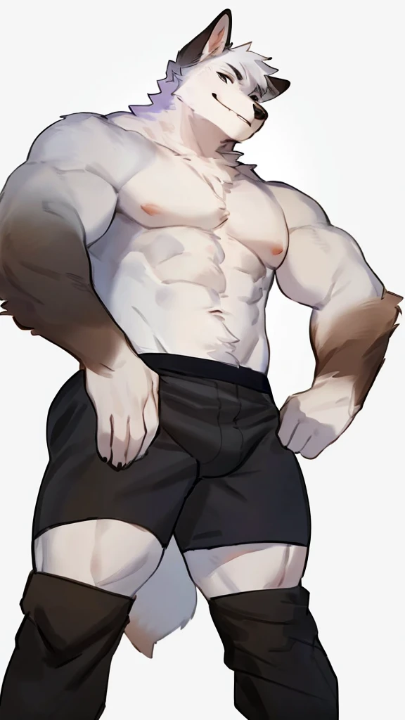 By bebebebebe, by lostgoose, by goonie-san, solo, ((snout, ears)), canine, ( Arctic Fox ), male, smirking, (muscle, muscular), Black Boxer pants