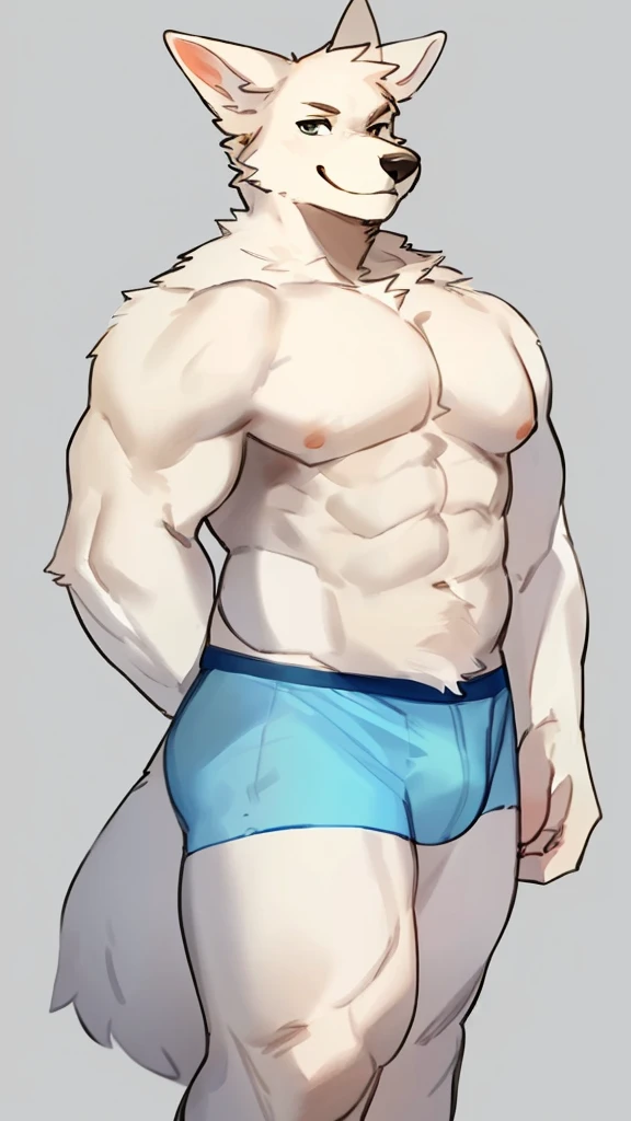 By bebebebebe, by lostgoose, by goonie-san, solo, ((snout, ears)), canine, ( Arctic Fox ), male, smirking, (muscle, muscular), only Blue Underwear, Showing fur Body, his 50ft tall