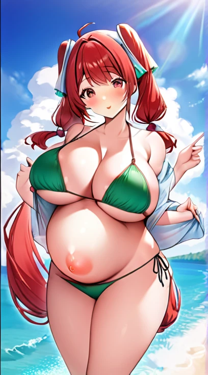 bikini,Big Breasts,Pregnant women,Pregnant belly,Multiple births,Red hair,Twin tails