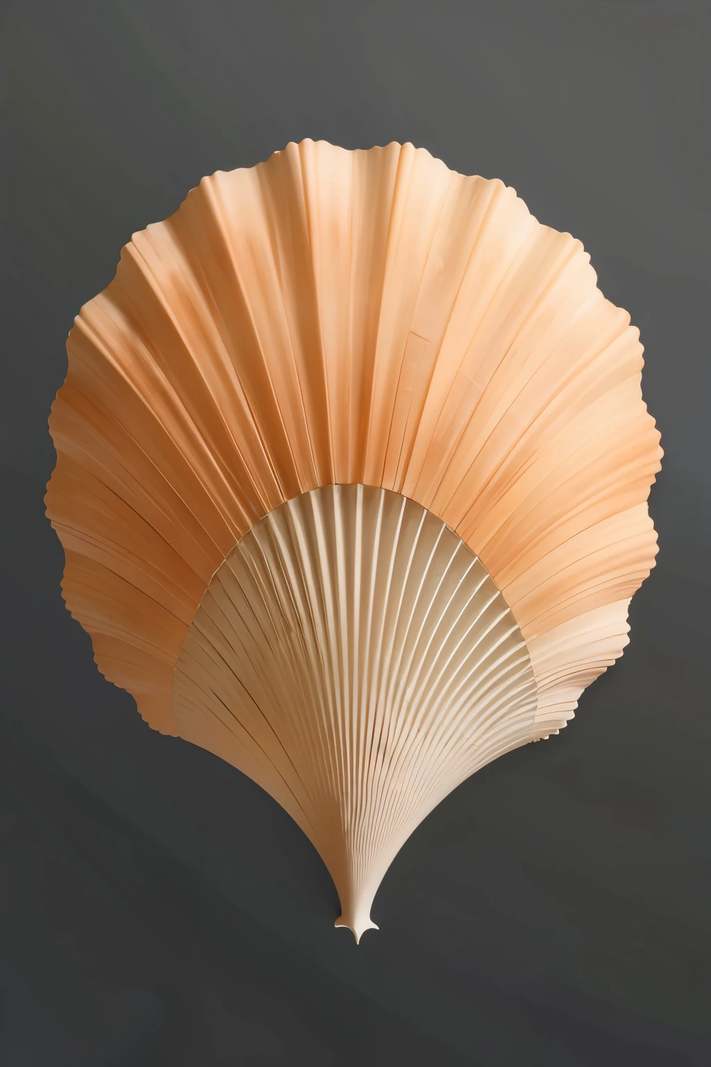 generates minimalist art of shells and corals