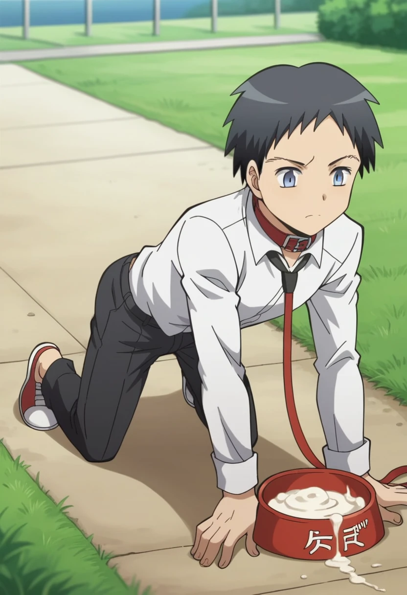 score_9, score_8_wonderful, score_7_wonderful, sauce_anime ,Assassination Classroom,Sugino friend,Male Focus,Part 1:  ,Black trousers,Outdoor,Black tie，Long sleeve white shirt,Get on all fours and place your hands on the floor,penis,Wearing a collar with a leash,Semen in dog food bowl,Black Hair,blue eyes,humble