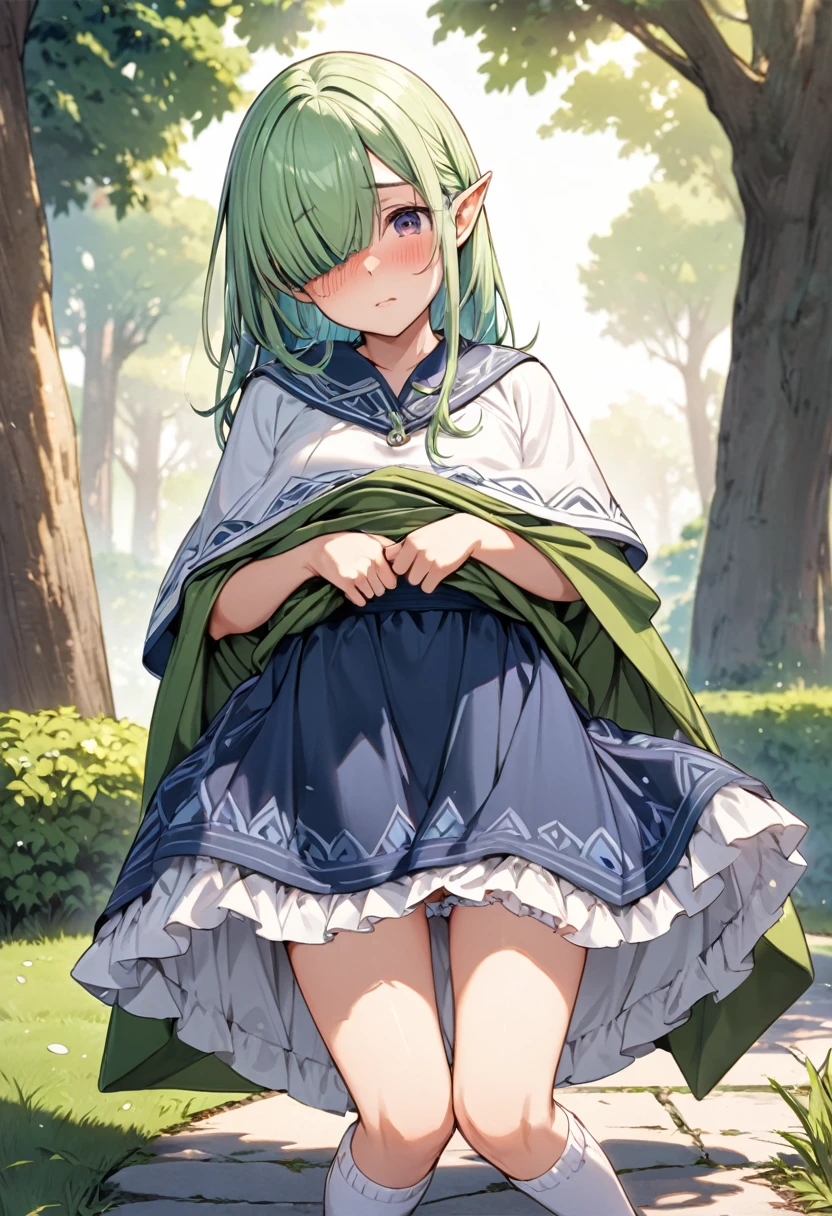 BREAK Perfect Anatomy、(High resolution:1.2)、Incredible illustrations、(Cute illustrations:1.2)、(Beautiful background(bushes in the park)) 1little girl((multicolored hair,((((bangs over eyes)))), embarrassed,)1girl((a girl,elf 1.5meters, 25kg,18 years old female, ((tunic,poncho,frilled pants,asymmetric thigh-high socks, sandals),tilting head,legs apart(((dress lift)),upskirt))