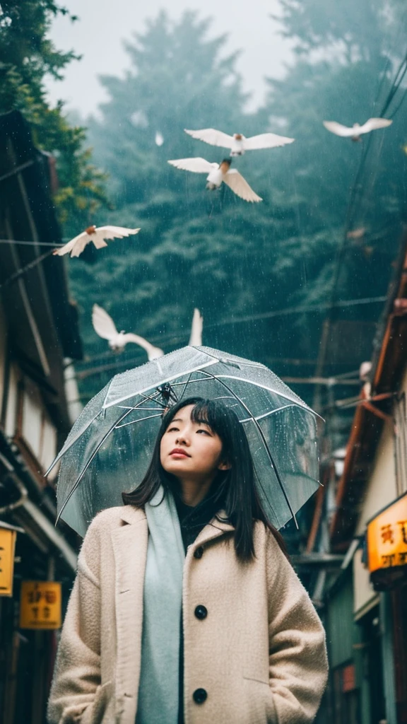 ((crane))、bird、Rainy Sky、1girl,from below