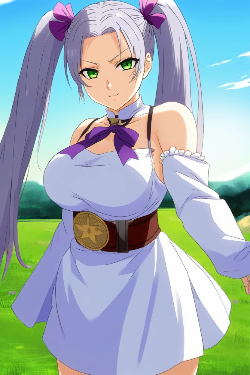 score_9, score_8_up, score_7_up, score_6_up, source_anime BREAK 1girl, noelle silva, grey hair, purple eyes, twintails, hair ribbon, black capelet, green strap, white and purple dress, long sleeves, belt, looking at you, big breasts, smug, blue sky, field, upper body