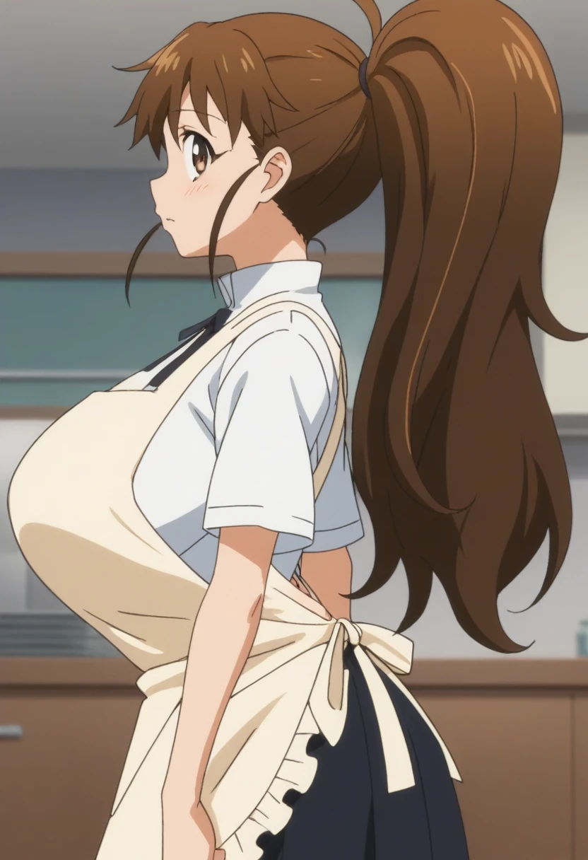 score_9, score_8_up, score_7_up, rating_explicit, anime screencap, upper body, 1girl, solo, working!!, taneshima popura, brown eyes, brown hair, long hair, ponytail, huge breasts, white shirt,black skirt,apron, popura-schooluniform, looking at viewer, from side, looking away