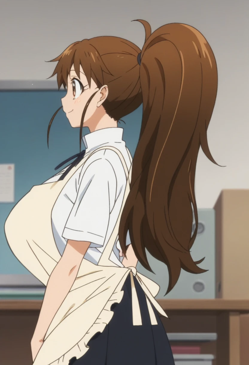 score_9, score_8_up, score_7_up, rating_explicit, anime screencap, upper body, 1girl, solo, working!!, taneshima popura, brown eyes, brown hair, long hair, ponytail, huge breasts, white shirt,black skirt,apron, popura-schooluniform, from side, smile