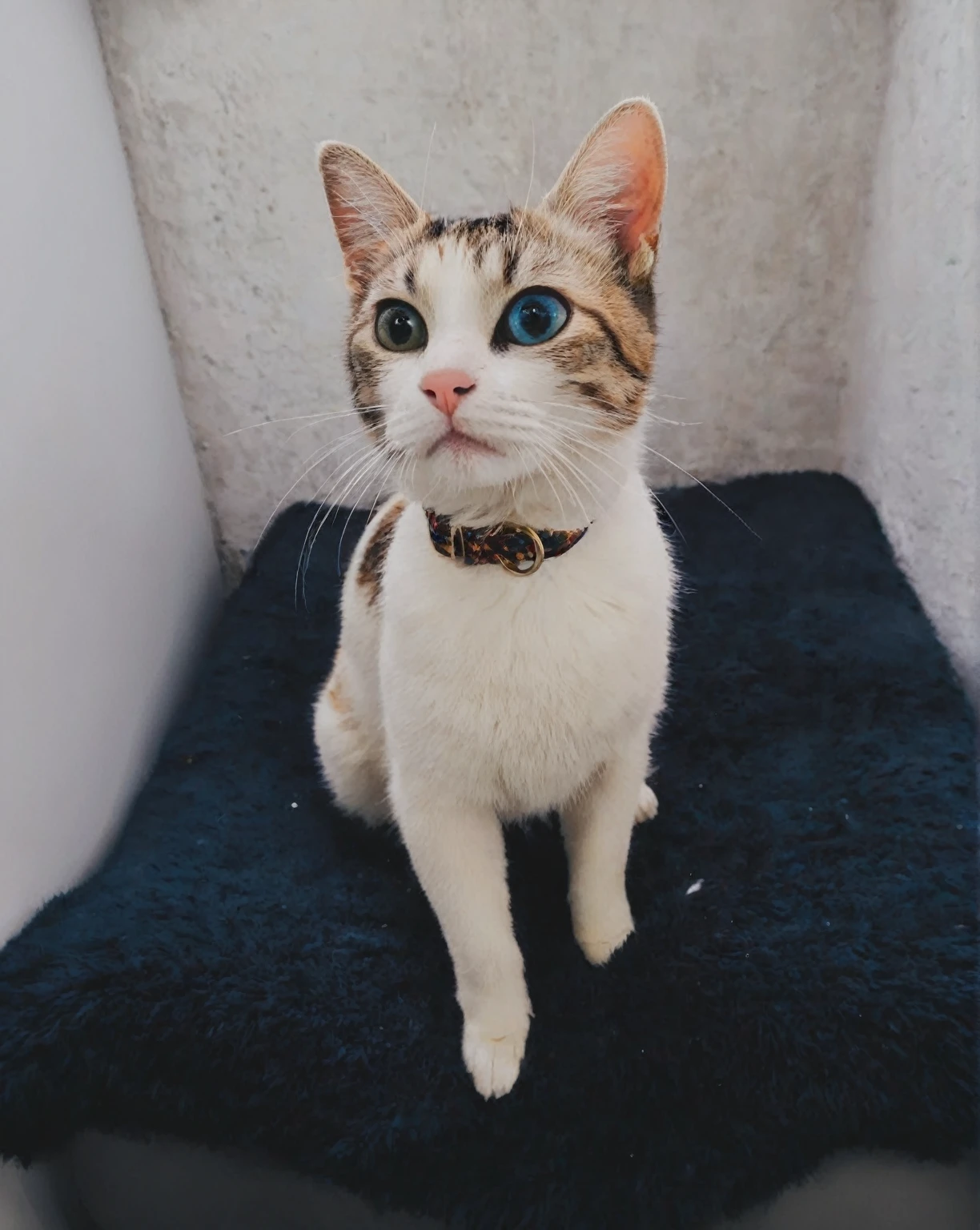 Beauty Model