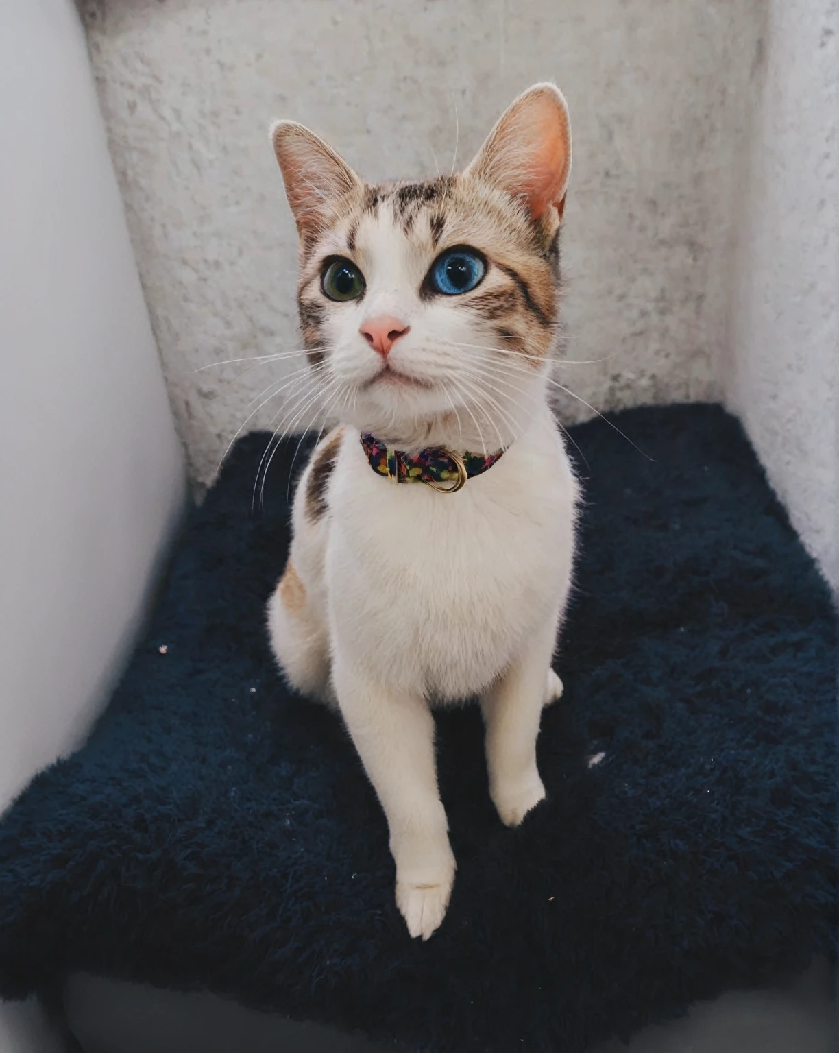 Beauty Model